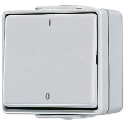 Выключатель двухполюсный Jung 602W