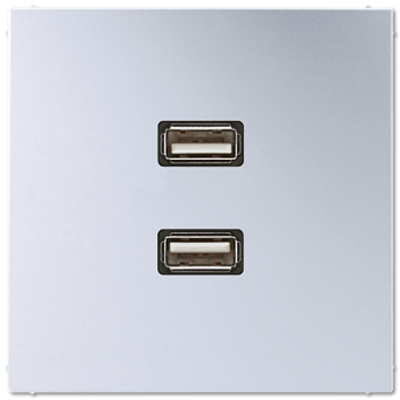 Розетка USB Jung MAAL1153