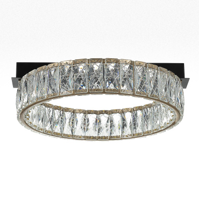 Потолочная люстра Citilux Palant CL325142