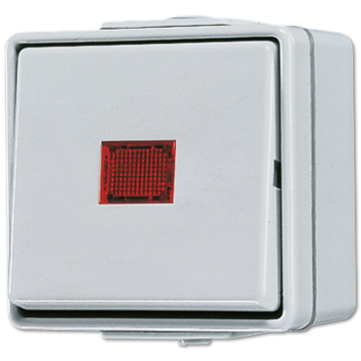 Выключатель контрольный Jung 606KOW