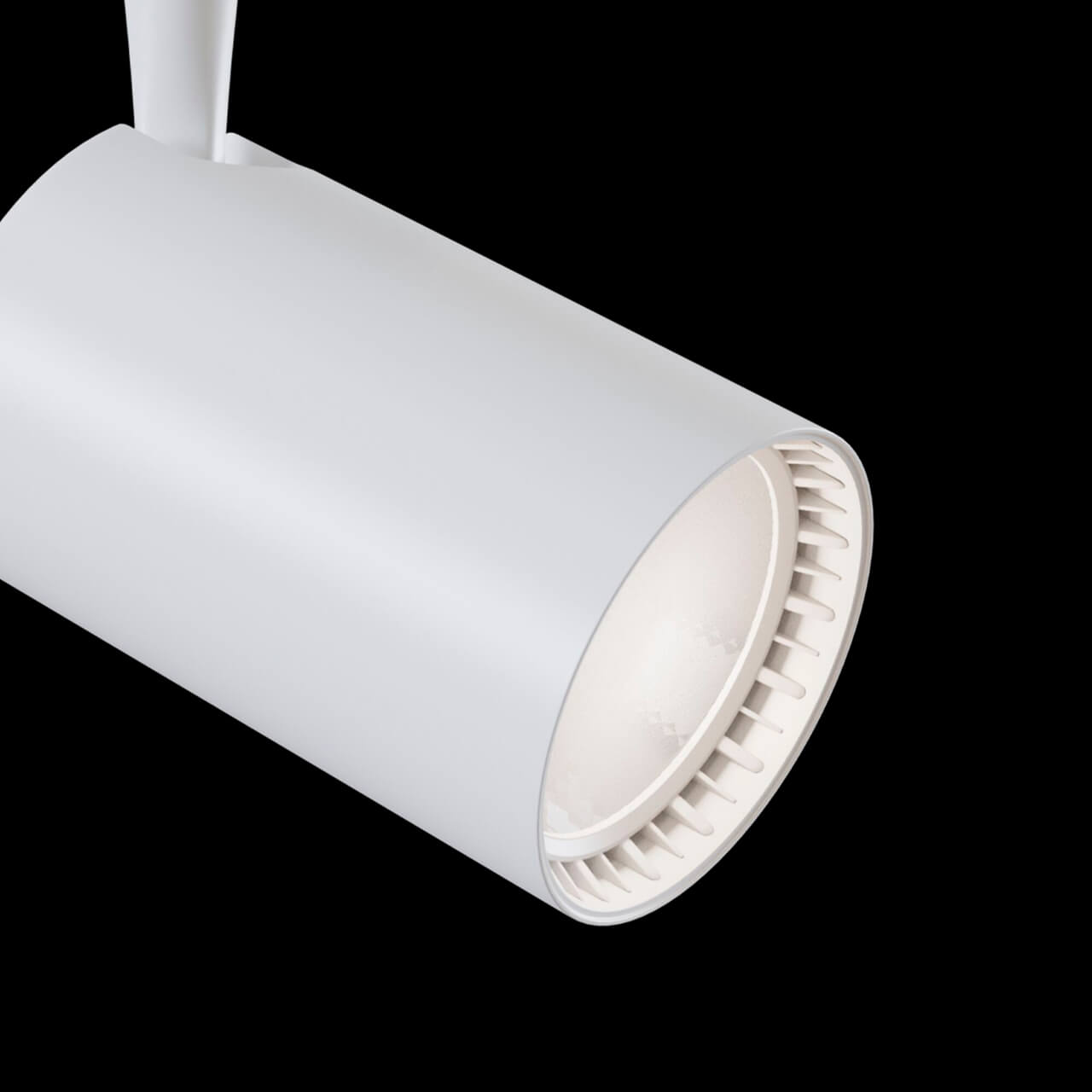 Трековый светильник Maytoni Track lamps TR003-1-30W3K-W