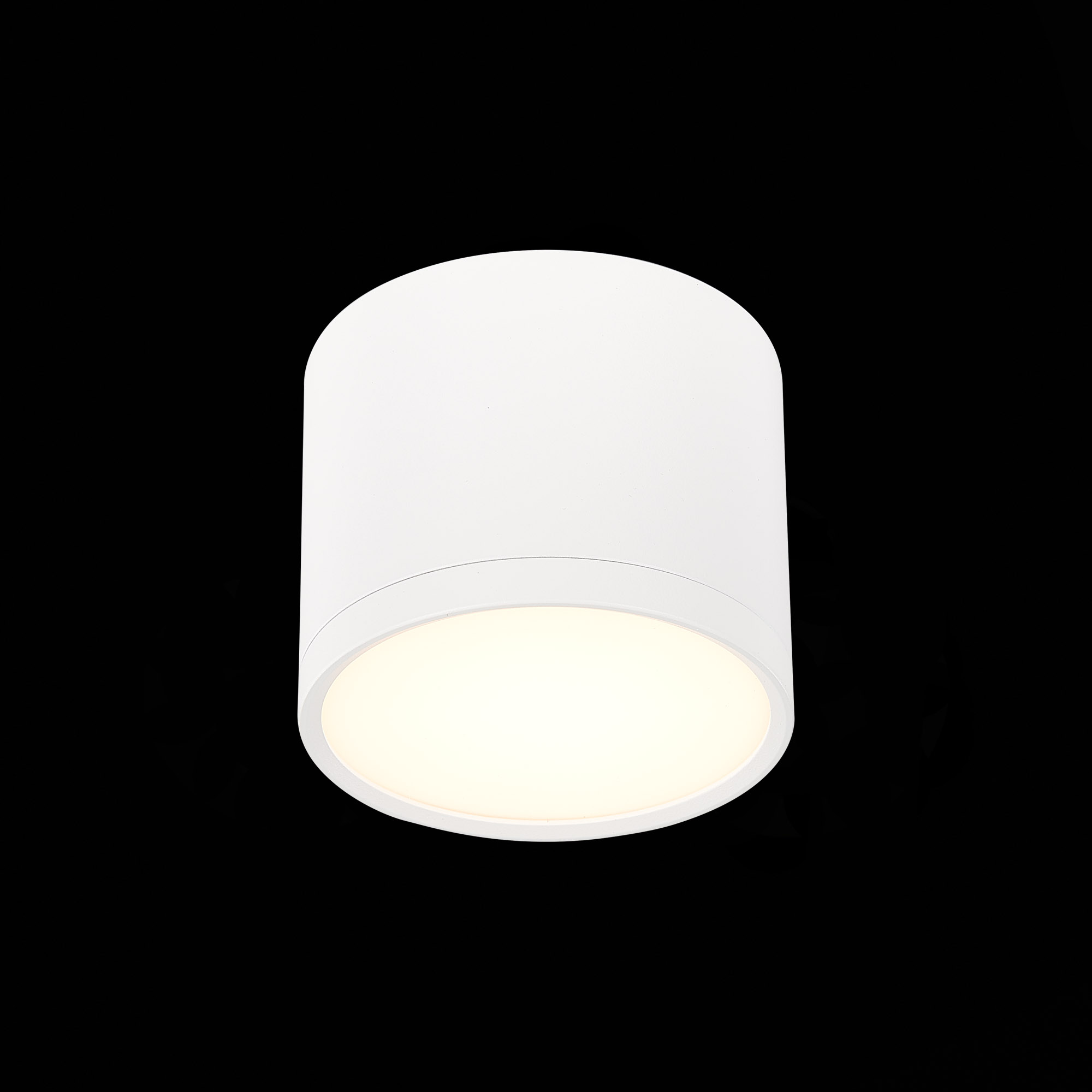 Потолочный светильник ST Luce Rene ST113.532.09