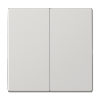 Клавиша 2-ная Jung LS990 LS995LG