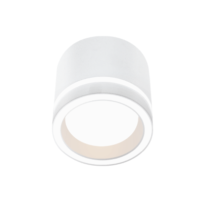 Накладной светильник Wolta Luce WSL-GX53/06W