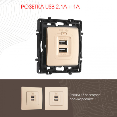 Розетка USB 2.1А+1А Arte Milano 217.46-1.shampan