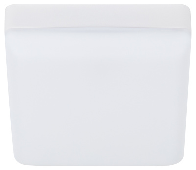 Настенно-потолочный светильник Эра LED 16-18-4K Б0054338