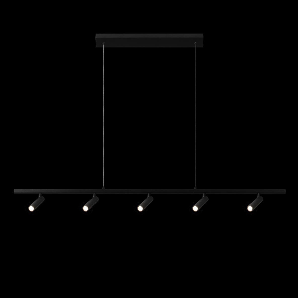 Подвесной светильник Loft IT Sign 10260/5 Black