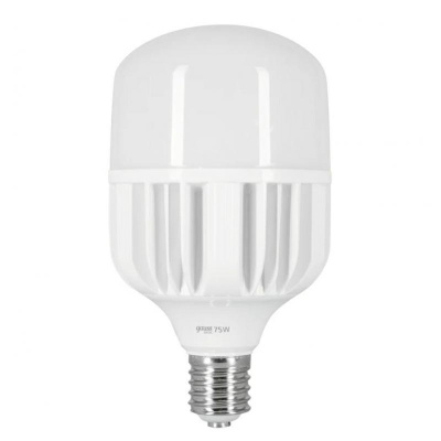Лампа светодиодная сверхмощная Gauss E40 75W 6500К матовая 11734382