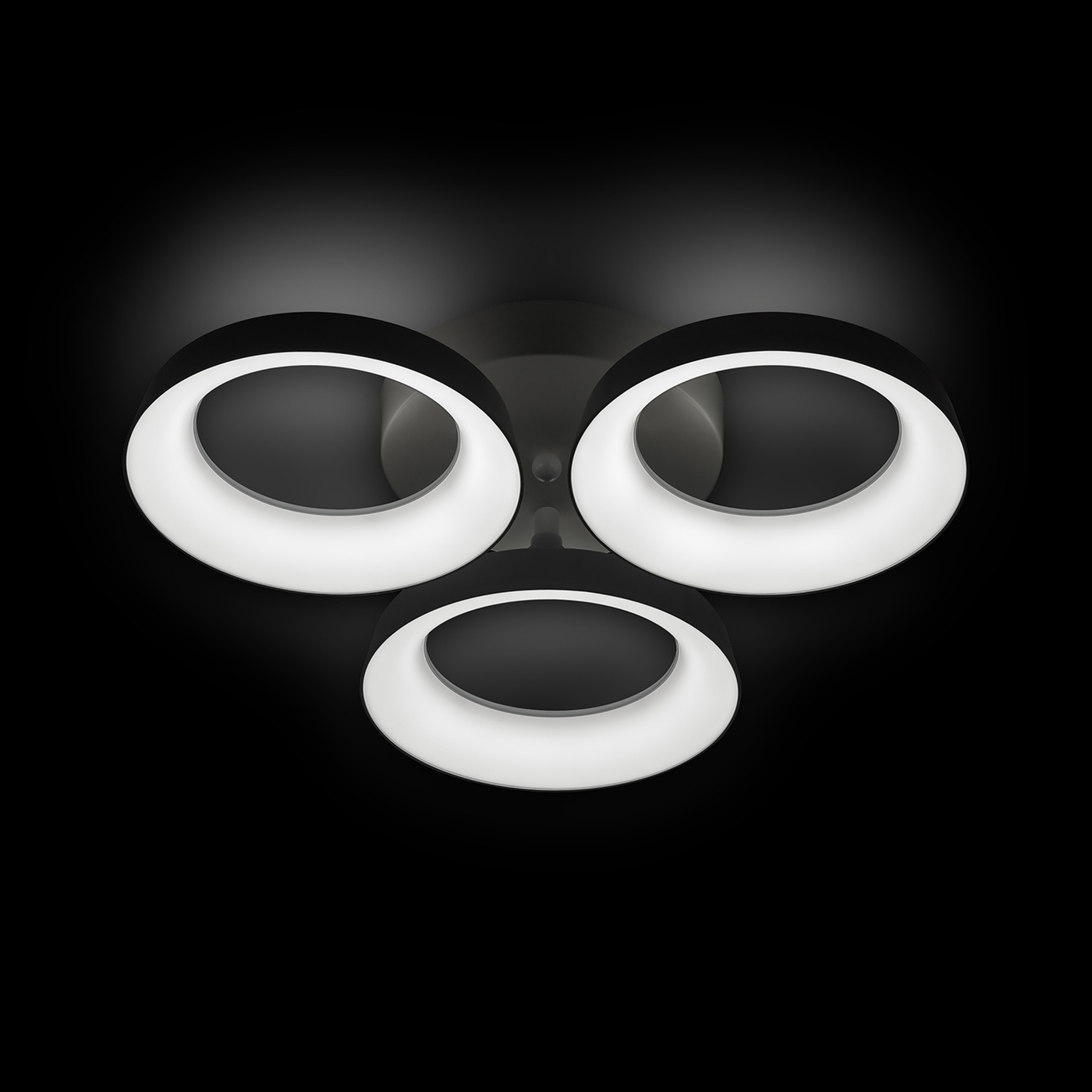 Потолочная люстра Ritter Verona 52012 2