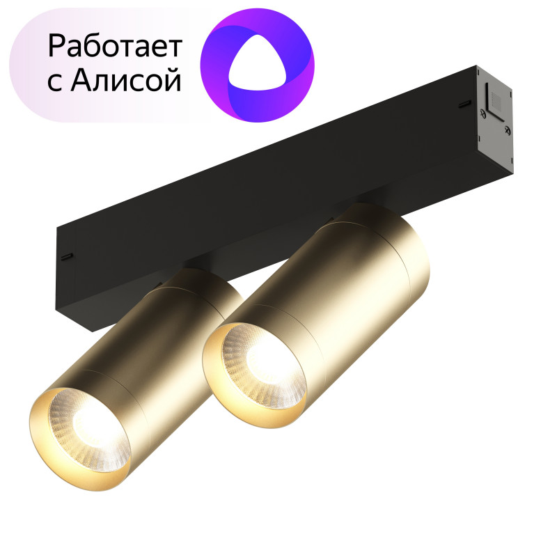 Трековый светильник Denkirs Smart DK8012-BG