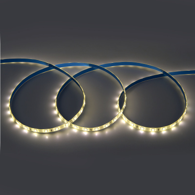 Светодиодная лента General GLS-5050-60-14.4-24-IP65-4 503312