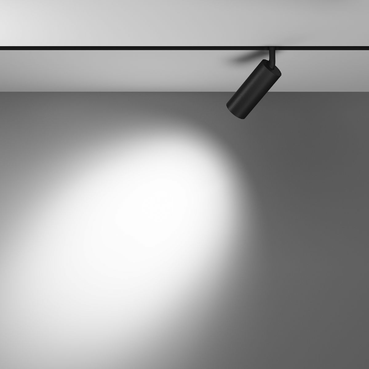 Трековый магнитный светильник Maytoni Focus LED TR032-4-12WTW-S-DD-B