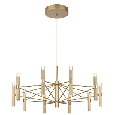 Подвесная люстра Favourite Blick 4759-10P