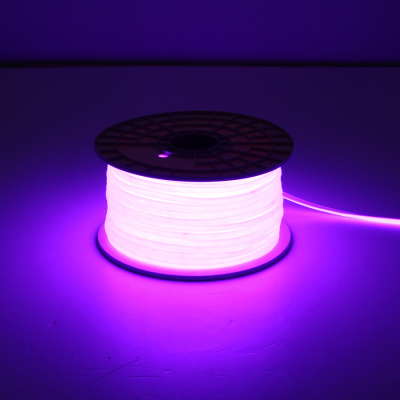 Гибкий неон General GLS-COB-288-10-220-IP67-NW-NL-P 505523