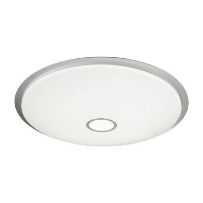 Потолочный светодиодный светильник Globo Rudi 48379-80