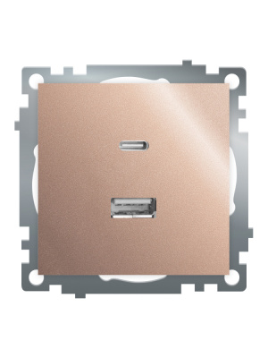 Розетка 2-местная USB + type C Stekker Катрин GLS10-7116-02 50056