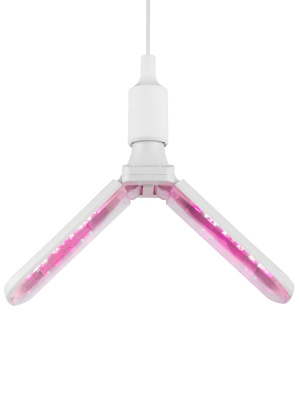 Фитолампа для растений красно-синего спектра Эра ФИТО-20W-PL-E27-GR Б0064517