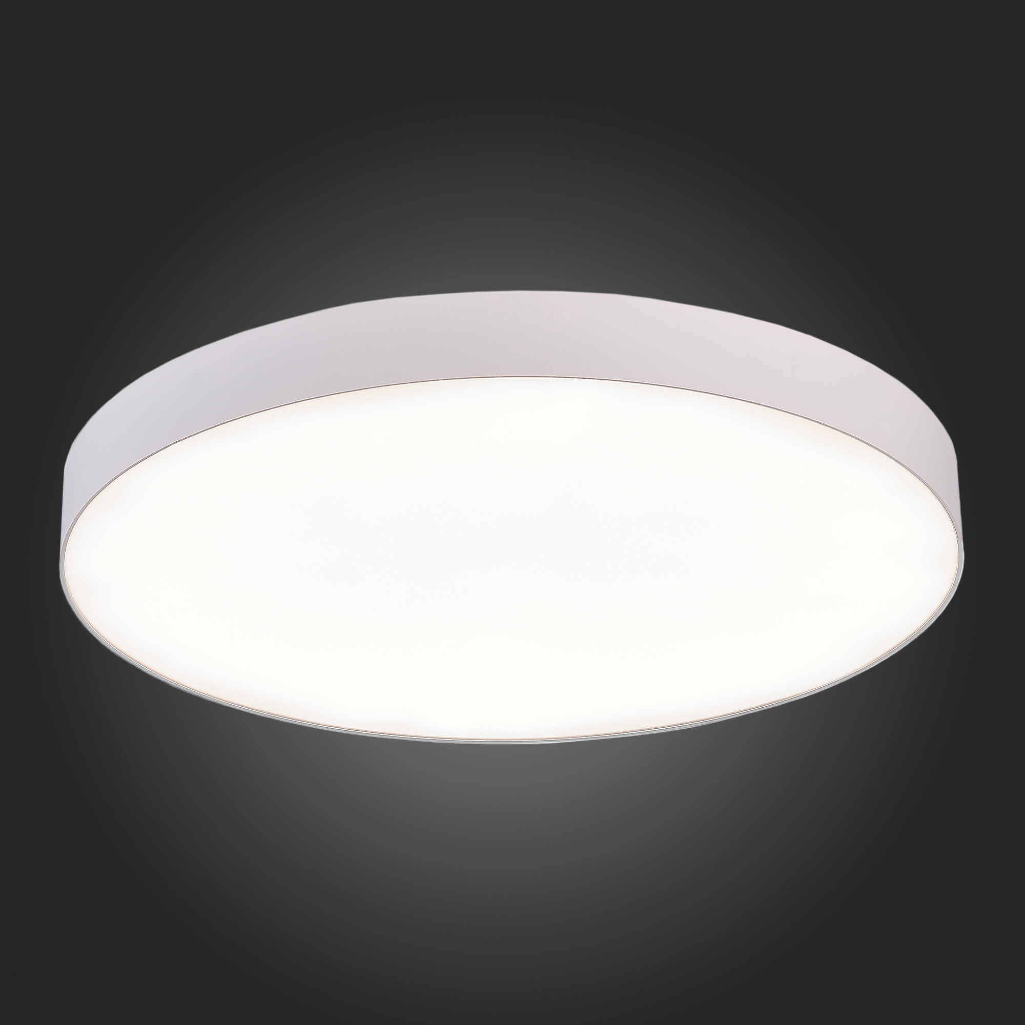 Потолочный светильник ST Luce ST606.542.96