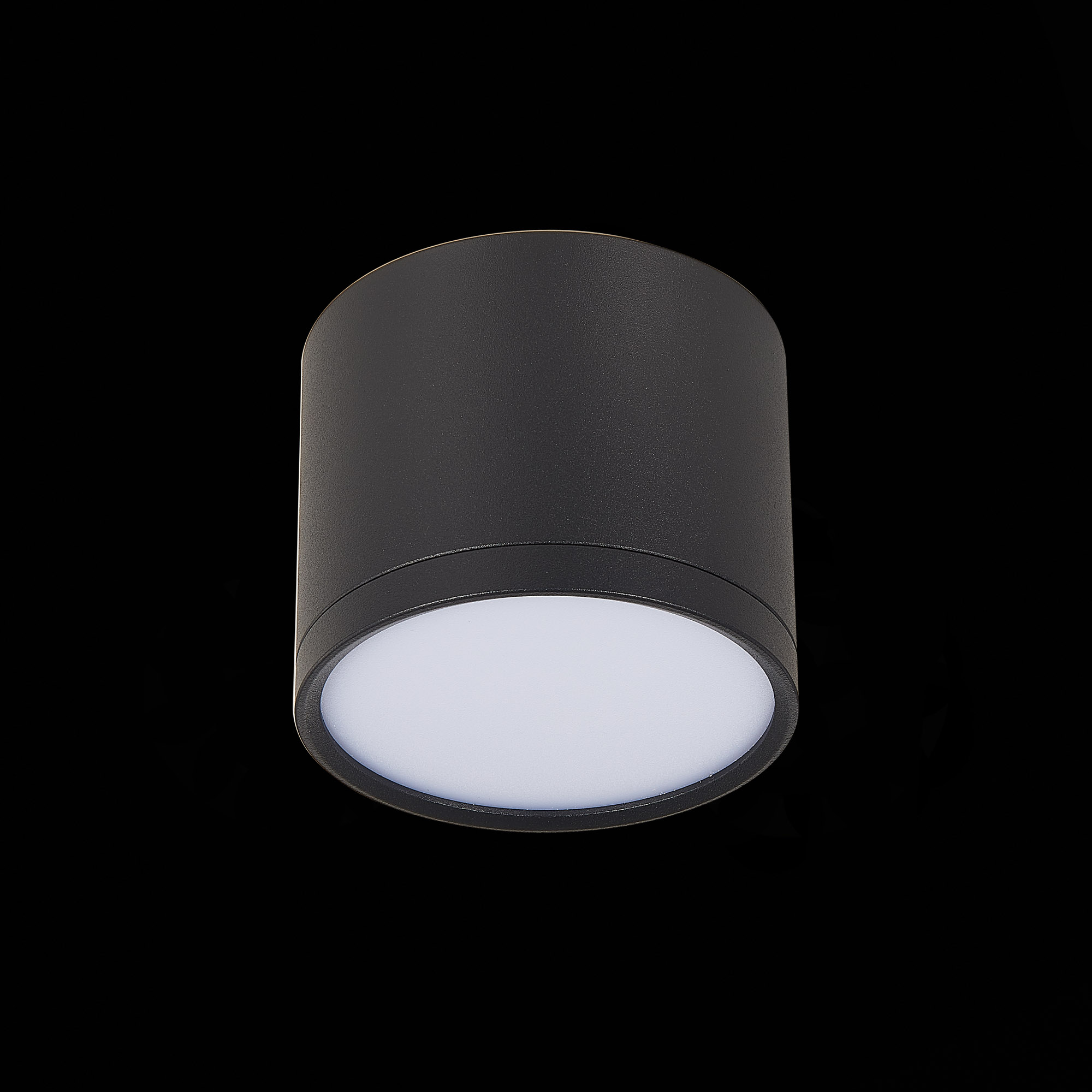Потолочный светильник ST Luce Rene ST113.442.09
