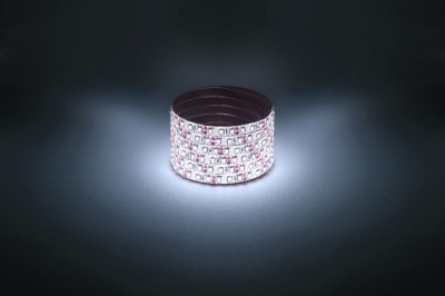 Светодиодная лента Эра 12В 2835 9,6Вт/м 6500K 5м IP65 LS2835-9,6-120-12-6500K-IP65-1 year-5m Б0035599