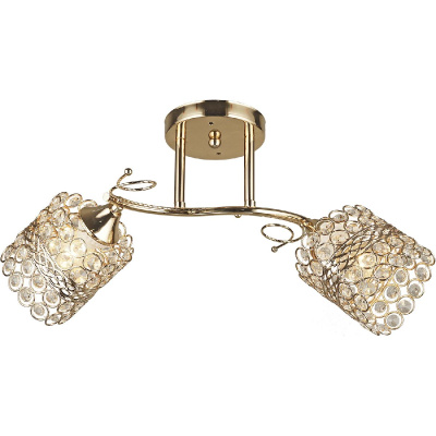 Потолочный светильник Reluce 04481-0.3-02 FGD