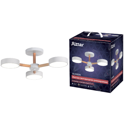 Люстра на штанге Ritter Scandia 51589 4