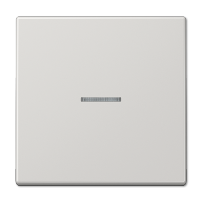 Клавиша 1-ная с линзой Jung LS990 LS990KO5LG