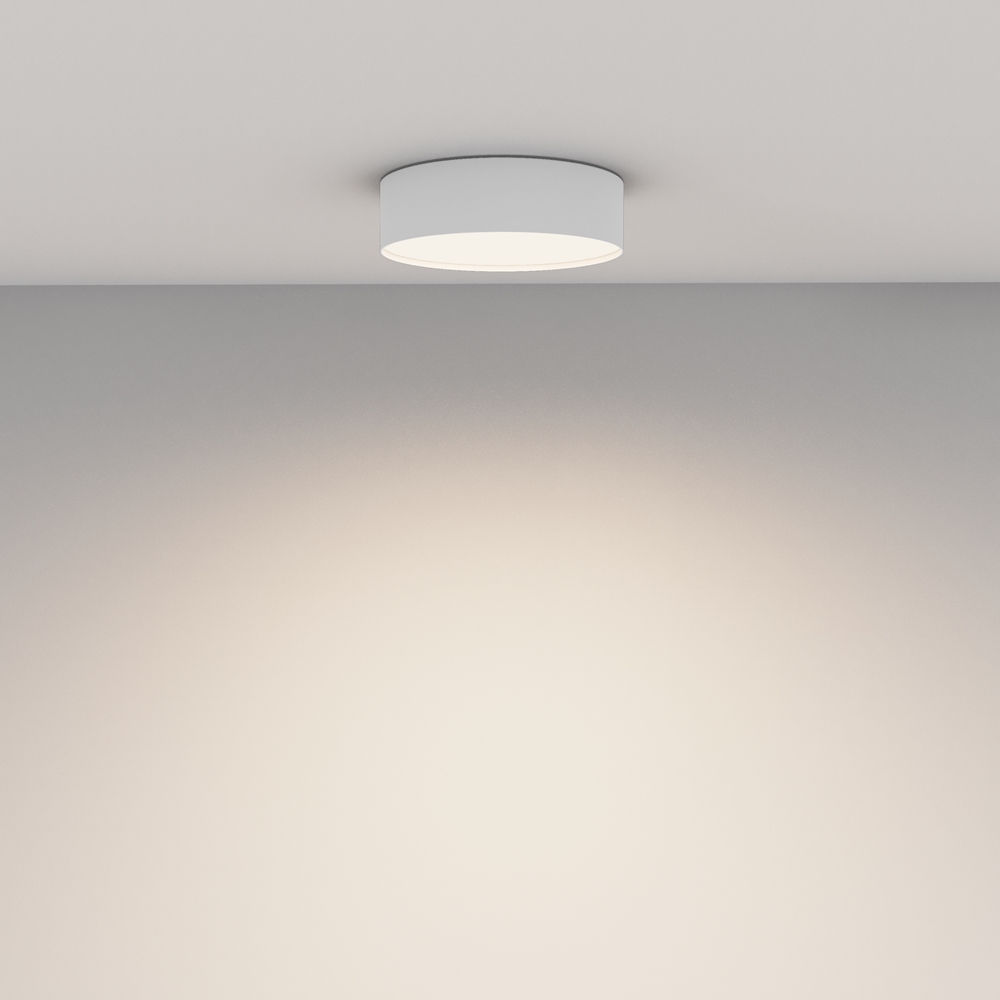 Потолочный светильник Maytoni Technical Ceiling Zon C032CL-24W4K-RD-W