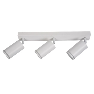 Спот Brizzi Aras BR08091