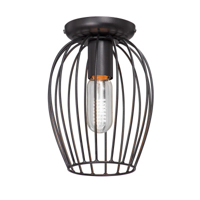 Потолочный светильник Vitaluce V4293-1/1PL