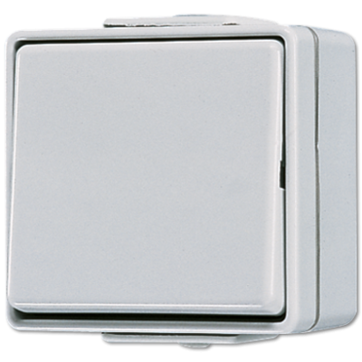 Выключатель одноклавишный Jung 606W