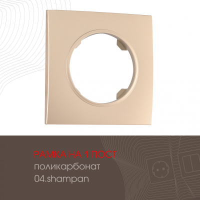 Рамка одноместная Arte Milano 502.04-1.shampan