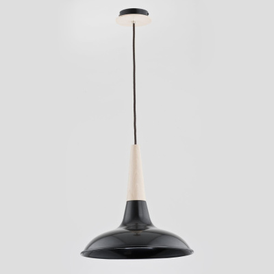 Подвесной светильник Alfa Doro 60004