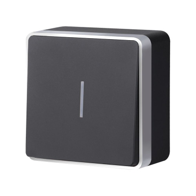 Выключатель одноклавишный с подсветкой Werkel Gallant (черный с серебром) W5010134 4690389163838 a051152