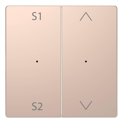 Клавиша двойная Schneider Electric Merten D-Life MTN5227-6051