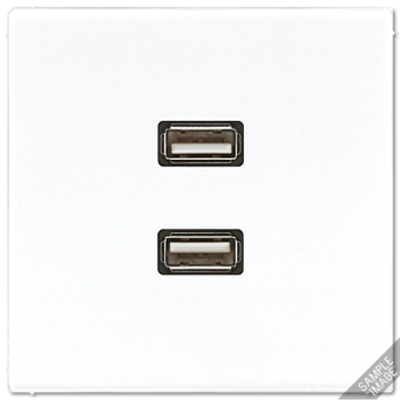 Розетка USB Jung MALS1153