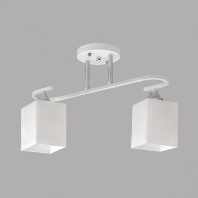 Потолочный светильник IMEX MD.6193-2-S-WH+CH