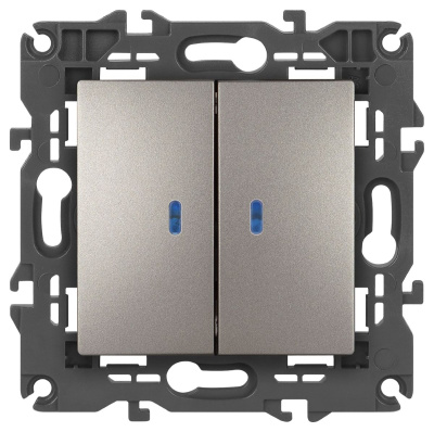 Выключатель двойной с подсветкой Эра Elegance 14-1105-16 Б0065789