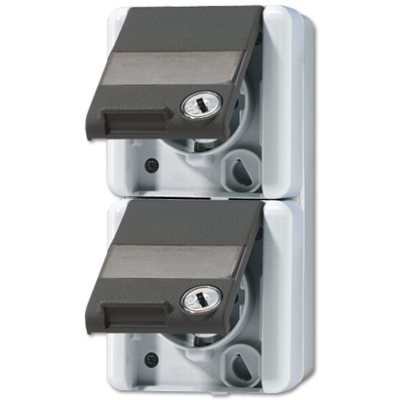 Розетка Schuko двухместная Jung 822NAWSL