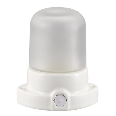 Настенно-потолочный светильник General GCF-SNC-60-E27-IP65-W 437767