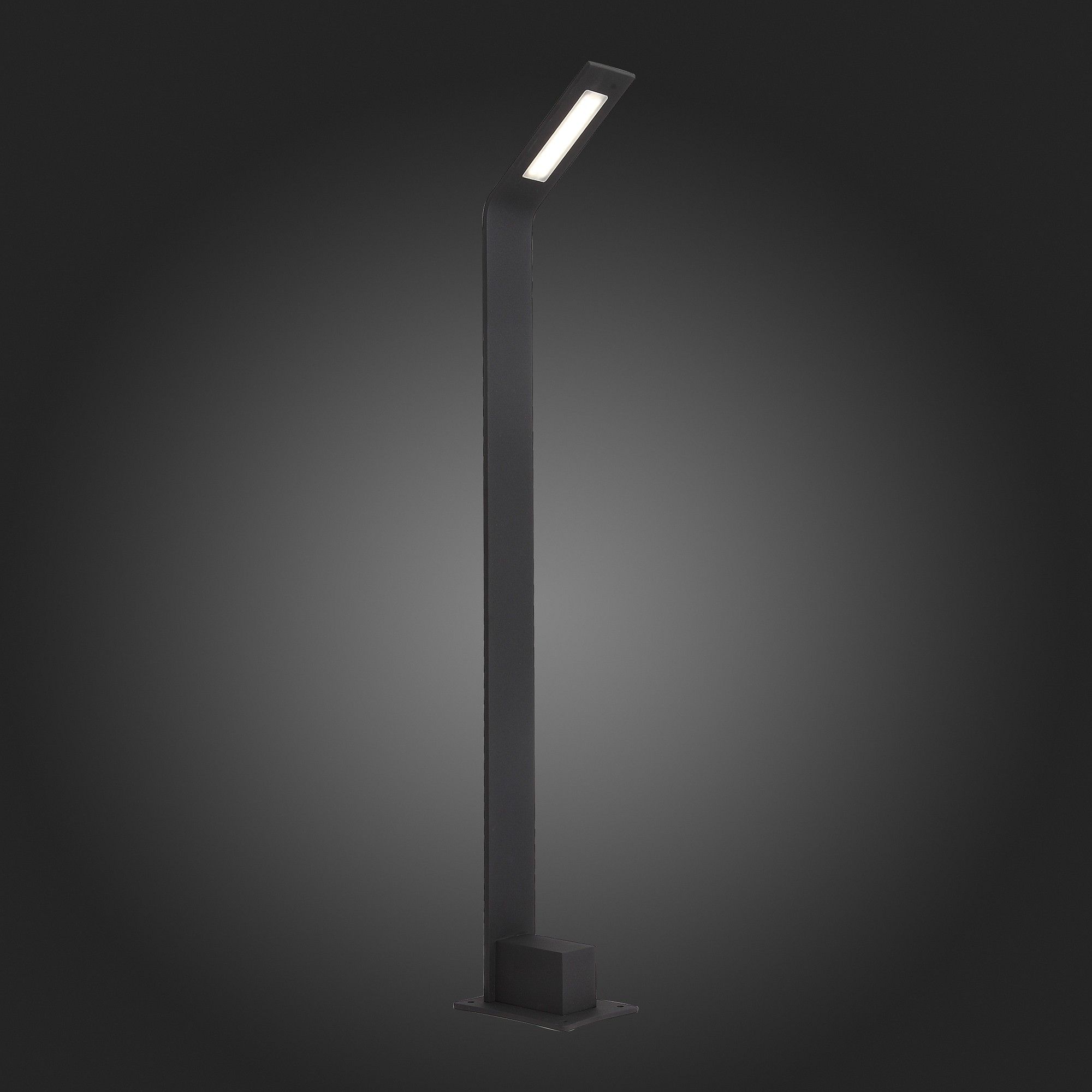 Уличный светодиодный светильник ST Luce Ansa SL094.445.01