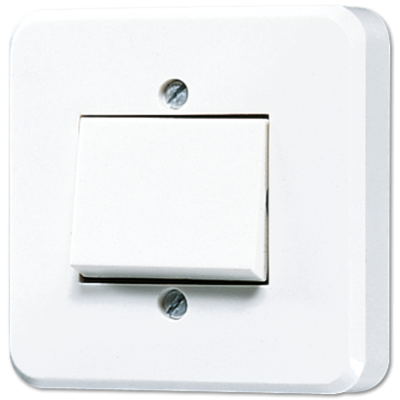 Переключатель одноклавишный Jung 306A-24