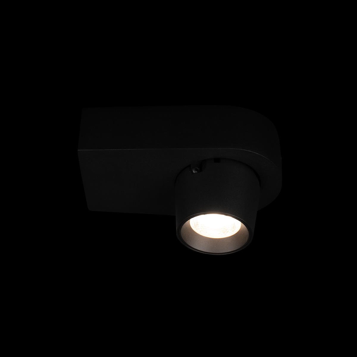 Накладной спот Loft IT Quiet 10320 Black