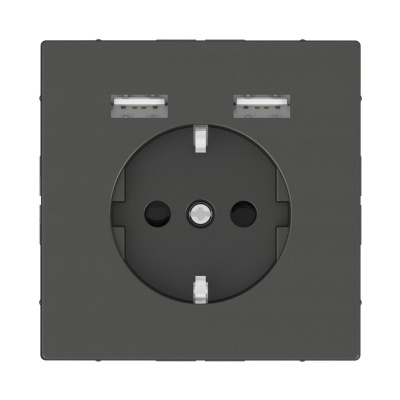 Розетка компьютерная USBx2 Schneider Electric Merten D-Life MTN2366-6034