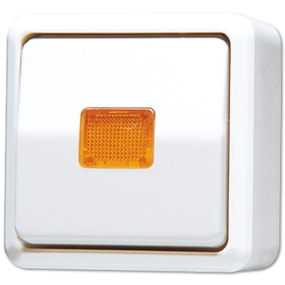 Выключатель контрольный Jung 606KOAWW