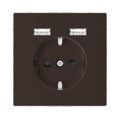 Розетка компьютерная USBx2 Schneider Electric Merten D-Life MTN2366-6052