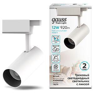 Трековый светодиодный светильник Gauss Track Light Led TR079