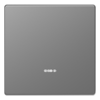 Клавиша одинарная Schneider Electric Merten D-Life MTN3320-6036