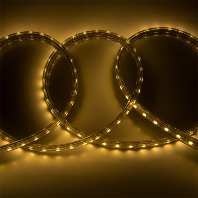 Светодиодная лента General GLS-2835-60-6-220-IP67-3 504015