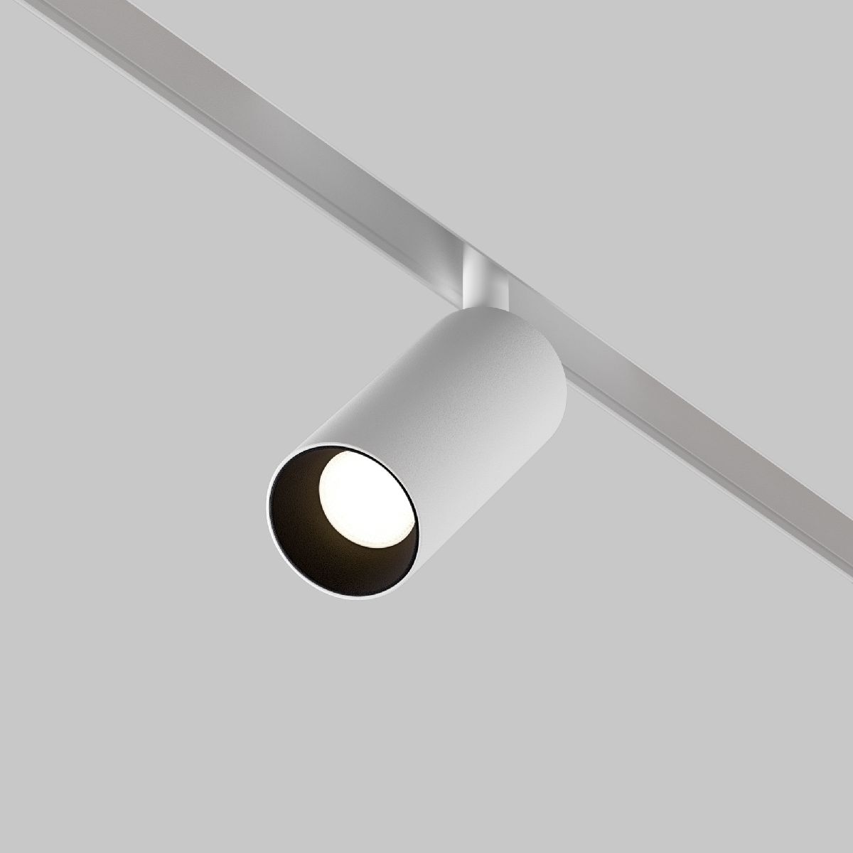 Трековый магнитный светильник Maytoni Focus LED TR032-2-5W4K-S-W